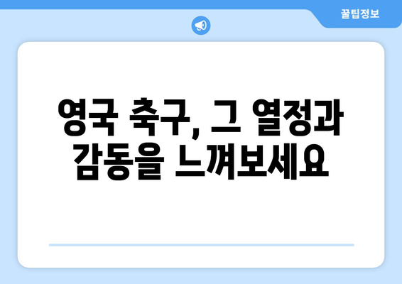 영국 축구의 인사이트| 화려한 피치와 하이라이트 | 프리미어 리그 분석, 역사, 스타 플레이어