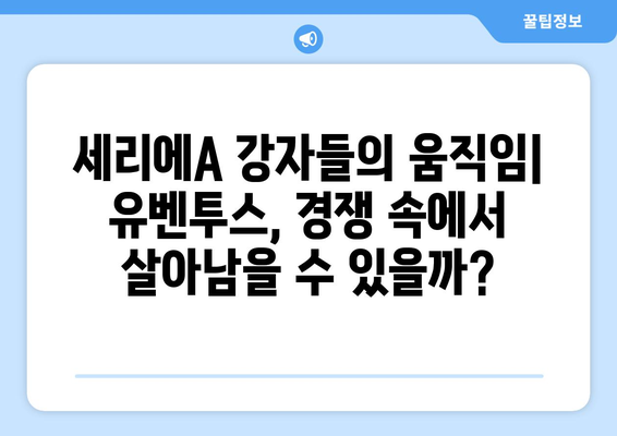 유벤투스, 왕좌 재탈환을 위한 여름 이적 시장 전략| "왕의 귀환"은 현실이 될까? | 세리에A, 이적 시장 분석, 유벤투스 전망