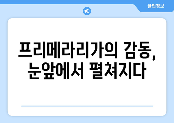 캄 노우에서 바르셀로나 프리메라리가 축구 경기 관전 후기| 뜨거운 열기와 감동의 순간 | 바르셀로나, 캄 노우, 프리메라리가, 축구 관람