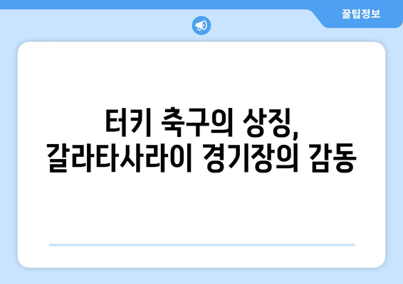 갈라타사라이 경기장의 함성과 열기| 터키 축구의 심장 | 갈라타사라이, 터키 축구, 축구 경기, 분위기