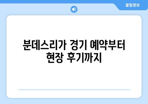 김민재 선수 보러 간다! 🇩🇪 분데스리가 바이에른 뮌헨 경기 직관 & 예약 후기 | 바이에른 뮌헨, 분데스리가, 김민재, 경기 직관, 예약 후기