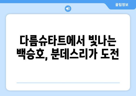 백승호, 다름슈타트에서 분데스리가 꿈을 펼치다| 친밀감 상승과 함께 성장하는 빛 | 분데스리가, 한국 축구, 이적