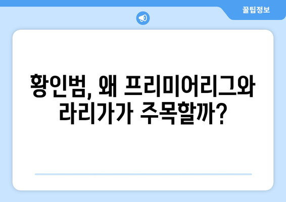 황인범, 프리미어리그부터 라리가까지! 뜨거운 관심, 그 이유는? | 황인범, 축구, 해외 리그, 이적