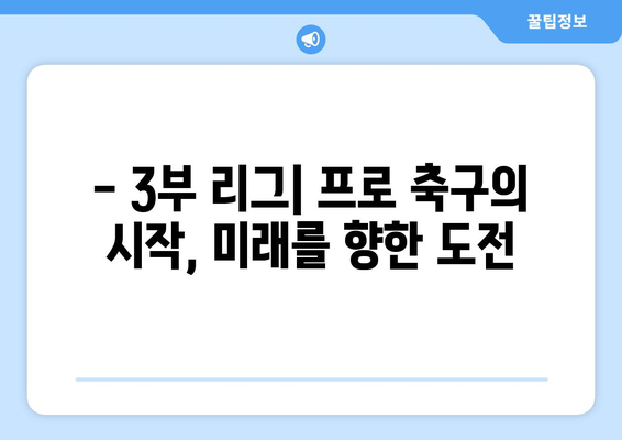 분데스리가 리그 구성 완벽 가이드| 1부, 2부, 3부 리그 상세 설명 | 독일 축구, 리그 시스템, 승격, 강등