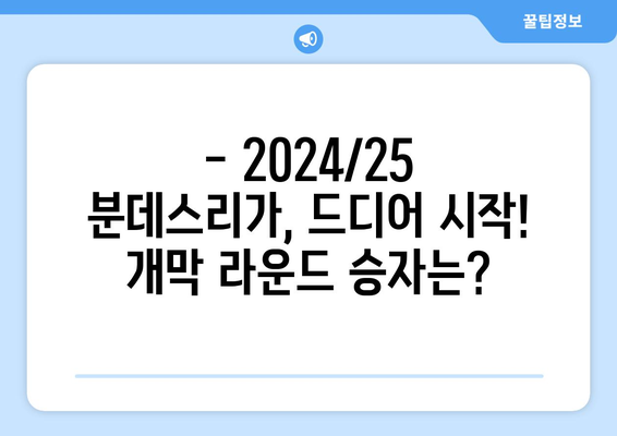 2024/25 2. 분데스리가 개막 라운드 총정리| 승부의 서막을 알린 팀들은? | 분데스리가, 개막, 경기 결과, 하이라이트