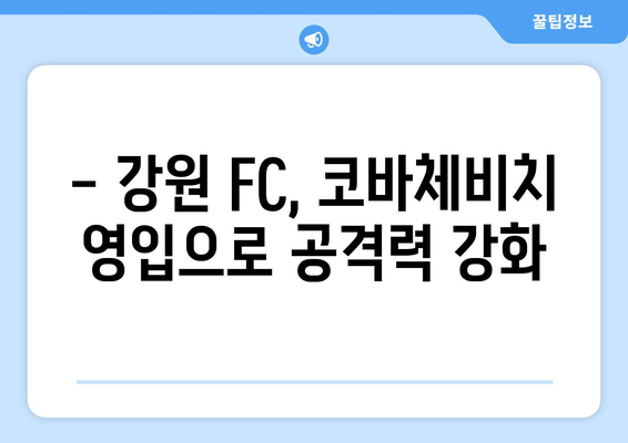 강원 FC, 독일 분데스리가 공격수 프랑코 코바체비치 영입! 새로운 공격 축구의 시작 | K리그, 이적, 프랑코 코바체비치