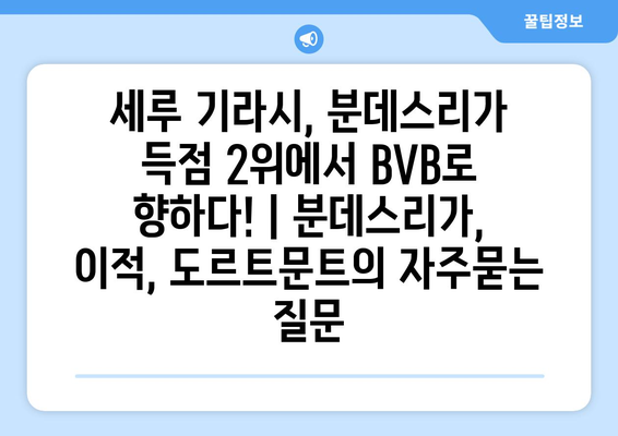 세루 기라시, 분데스리가 득점 2위에서 BVB로 향하다! | 분데스리가, 이적, 도르트문트