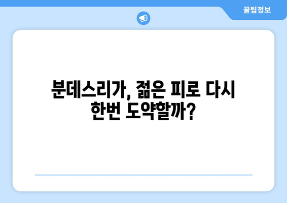 유럽 축구 열풍 속, 독일 축구의 미래를 엿보다 | 분데스리가, 독일 국가대표, 젊은 피