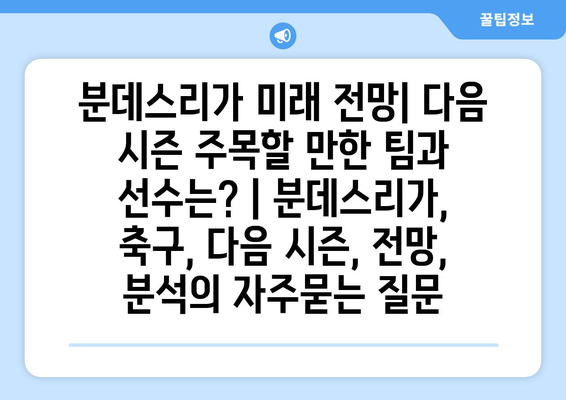 분데스리가 미래 전망| 다음 시즌 주목할 만한 팀과 선수는? | 분데스리가, 축구, 다음 시즌, 전망, 분석