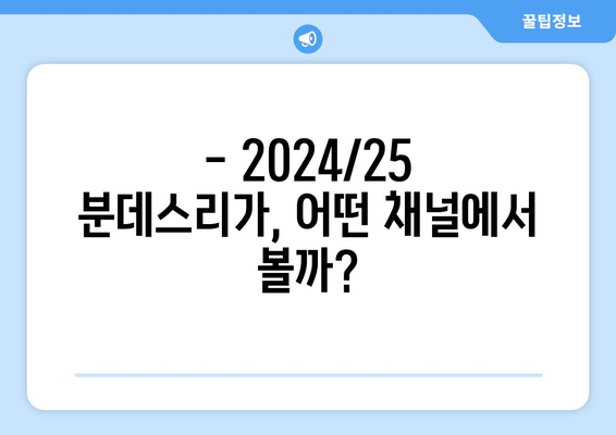 2024/25 분데스리가 중계 채널 선택 가이드| 나에게 딱 맞는 경험을 찾아라! | 분데스리가, 축구 중계, 스포츠 채널, 시청 팁