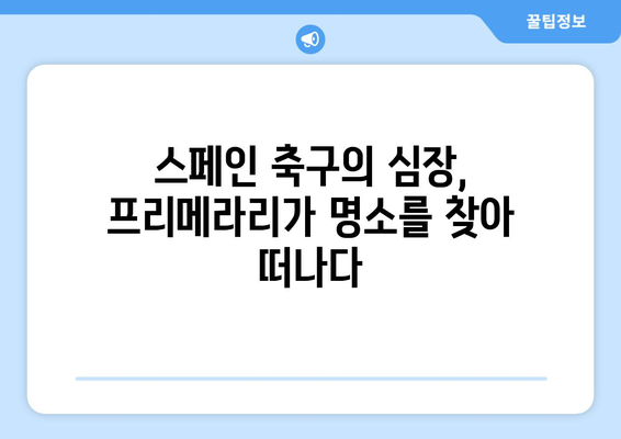 프리메라리가 명승지| 방구석 박물관에서 떠나는 축구 여행 | 프리메라리가, 스페인 축구, 명소, 박물관, 여행