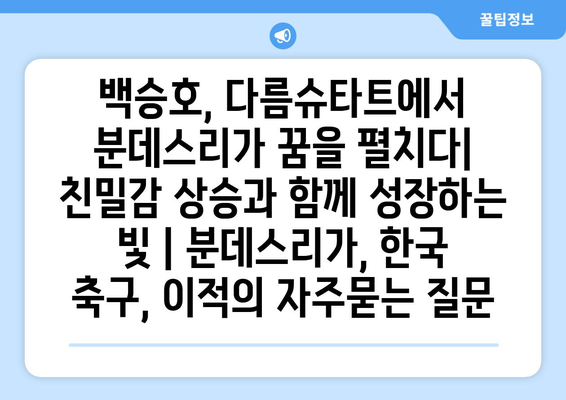 백승호, 다름슈타트에서 분데스리가 꿈을 펼치다| 친밀감 상승과 함께 성장하는 빛 | 분데스리가, 한국 축구, 이적