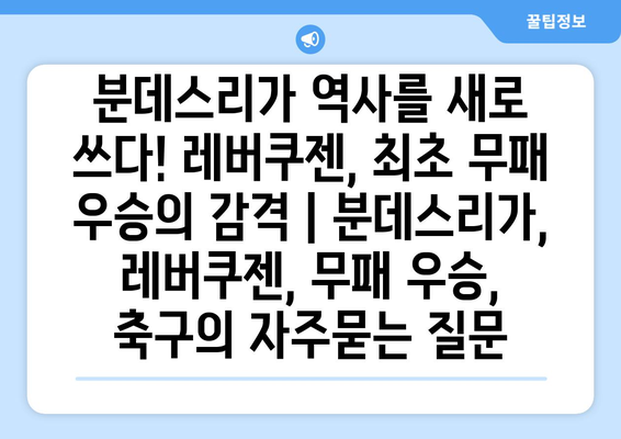 분데스리가 역사를 새로 쓰다! 레버쿠젠, 최초 무패 우승의 감격 | 분데스리가, 레버쿠젠, 무패 우승, 축구