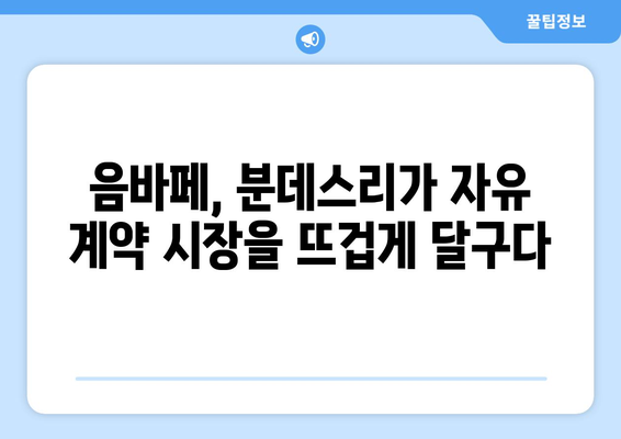 떠오르는 별 음바페 포함! 분데스리가 자유 계약 선수 명단 | 이적 시장, 프리에이전트, 핵심 선수