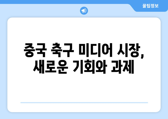 중국 축구 미디어 시장 성장 vs 유럽 축구 선수권 대회 인기 저조| 그 이유는? | 중국 축구, 유럽 축구, 미디어 시장 분석