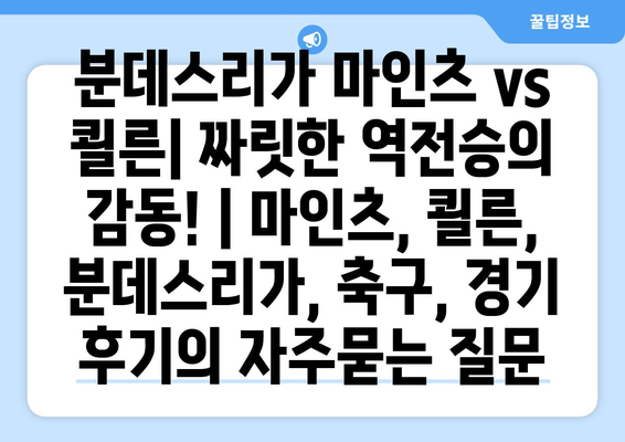 분데스리가 마인츠 vs 쾰른| 짜릿한 역전승의 감동! | 마인츠, 쾰른, 분데스리가, 축구, 경기 후기