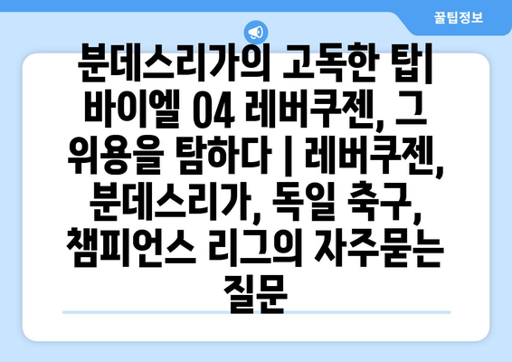 분데스리가의 고독한 탑| 바이엘 04 레버쿠젠, 그 위용을 탐하다 | 레버쿠젠, 분데스리가, 독일 축구, 챔피언스 리그