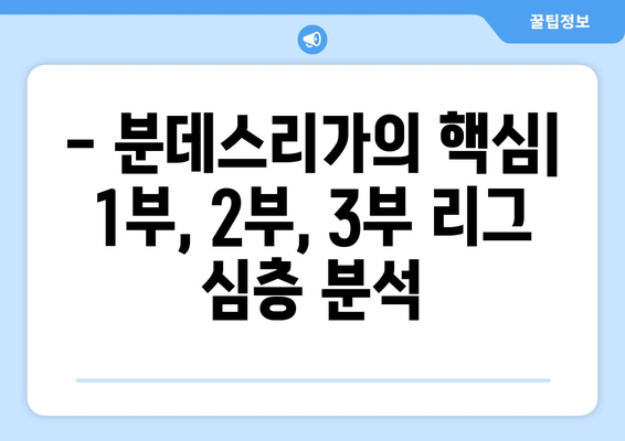 분데스리가 리그 구성 완벽 가이드| 1부, 2부, 3부 리그 상세 설명 | 독일 축구, 리그 시스템, 승격, 강등