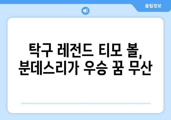 티모 볼의 패배| 2021/2022 독일 탁구 분데스리가 챔피언은 뒤셀도르프 | 탁구, 분데스리가, 챔피언, 뒤셀도르프