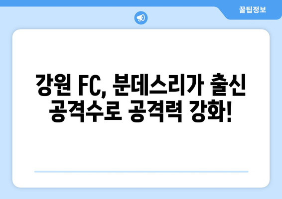 강원 FC, 독일 분데스리가 출신 공격수 임대 영입! 새로운 공격의 날개를 펼치다 | K리그, 이적 시장, 축구 뉴스