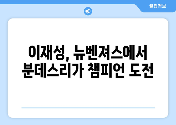 이재성의 뉴벤져스 합류, 분데스리가 경험이 만들어낸 시너지 효과 | 이재성, 뉴벤져스, 분데스리가, 시너지