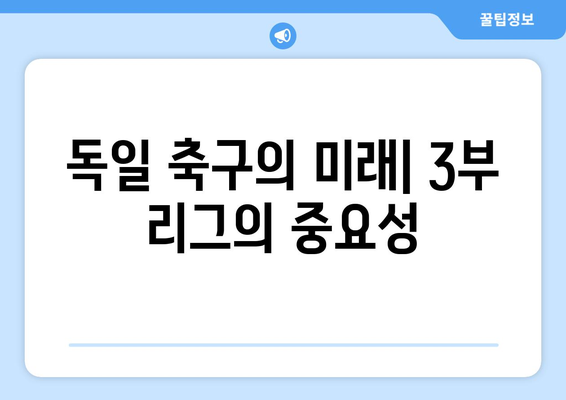 독일 축구 리그 탐구| 분데스리가 1, 2부 리그와 3부 리그 구성 | 독일, 축구, 분데스리가, 3부 리그