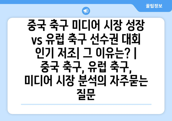 중국 축구 미디어 시장 성장 vs 유럽 축구 선수권 대회 인기 저조| 그 이유는? | 중국 축구, 유럽 축구, 미디어 시장 분석