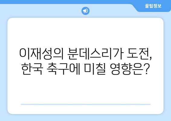 이재성, 분데스리가 합류로 어떤 시너지 효과 기대할까? | 이재성, 분데스리가, 시너지 효과, 축구