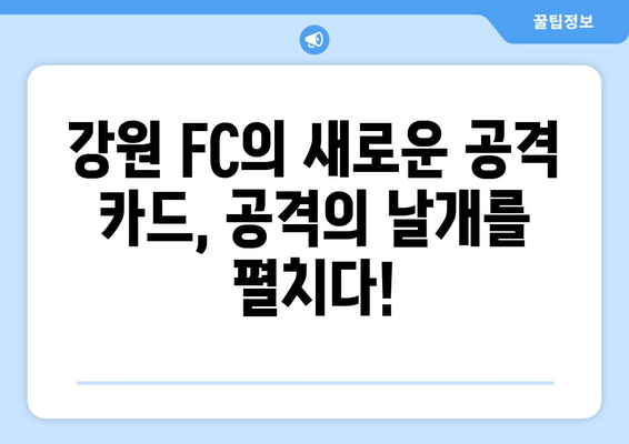 강원 FC, 독일 분데스리가 출신 공격수 임대 영입! 새로운 공격의 날개를 펼치다 | K리그, 이적 시장, 축구 뉴스