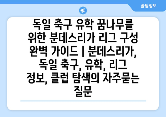 독일 축구 유학 꿈나무를 위한 분데스리가 리그 구성 완벽 가이드 | 분데스리가, 독일 축구, 유학, 리그 정보, 클럽 탐색