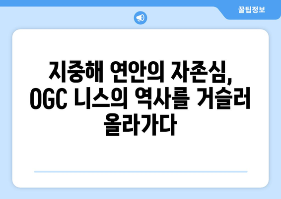 프랑스 리그를 대표하는 팀, OGC 니스| 역사, 선수, 경기 스타일 소개 | 프랑스 리그, 축구, OGC 니스