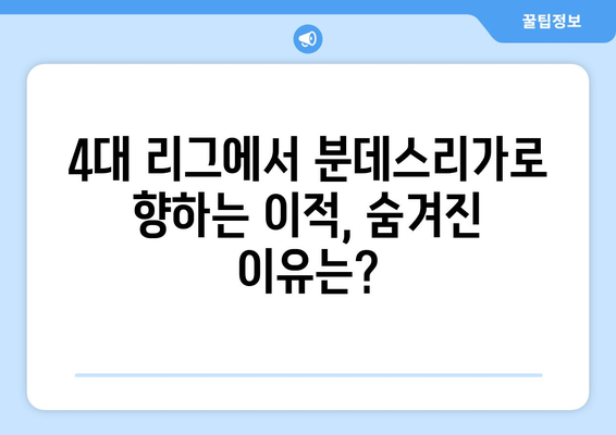 분데스리가 4대 리그 자유계약 선수 & 이적시장 주요 트렌드 분석 | 2023년 여름 이적시장 전망