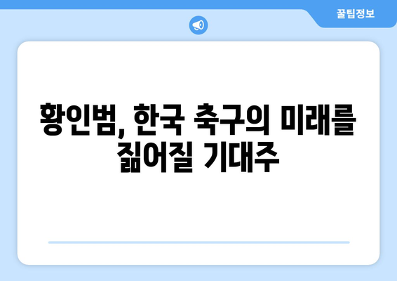 황인범, 프리미어리그부터 라리가까지! 뜨거운 관심, 그 이유는? | 황인범, 축구, 해외 리그, 이적