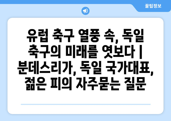 유럽 축구 열풍 속, 독일 축구의 미래를 엿보다 | 분데스리가, 독일 국가대표, 젊은 피