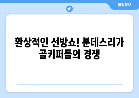 분데스리가 최고의 골키퍼를 찾아라! | 2023-2024 시즌, 최고의 선방쇼를 펼치는 골키퍼는 누구?