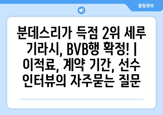 분데스리가 득점 2위 세루 기라시, BVB행 확정! | 이적료, 계약 기간, 선수 인터뷰