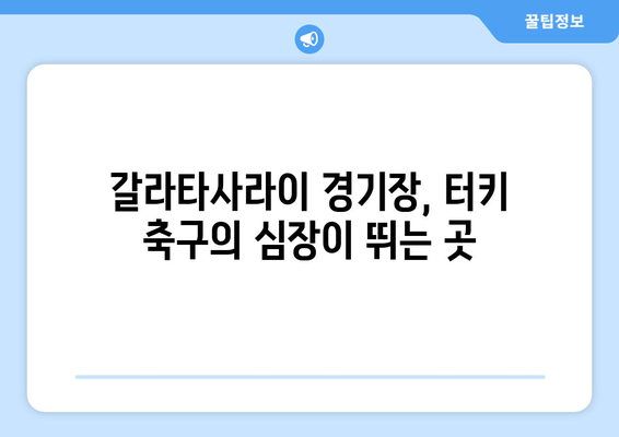 갈라타사라이 경기장의 함성과 열기| 터키 축구의 심장 | 갈라타사라이, 터키 축구, 축구 경기, 분위기