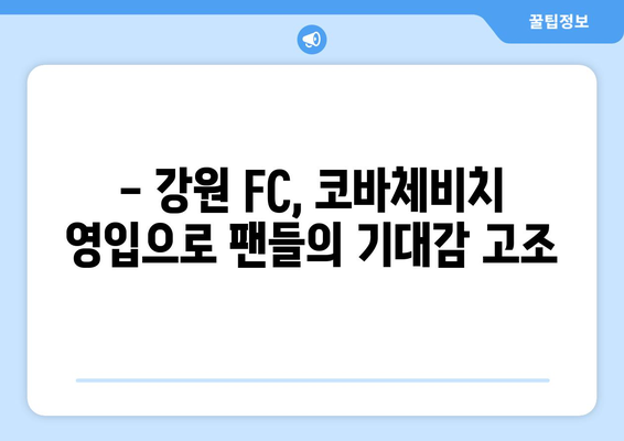 강원 FC, 독일 분데스리가 공격수 프랑코 코바체비치 영입! 새로운 공격 축구의 시작 | K리그, 이적, 프랑코 코바체비치