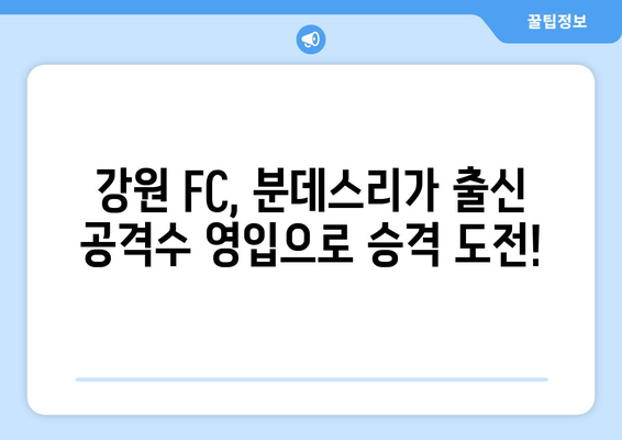 강원 FC, 독일 분데스리가 출신 공격수 임대 영입! 새로운 공격의 날개를 펼치다 | K리그, 이적 시장, 축구 뉴스