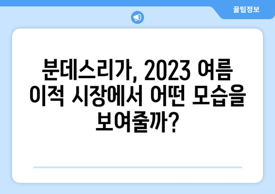 분데스리가 4대 리그 자유계약 선수 & 이적시장 주요 트렌드 분석 | 2023년 여름 이적시장 전망