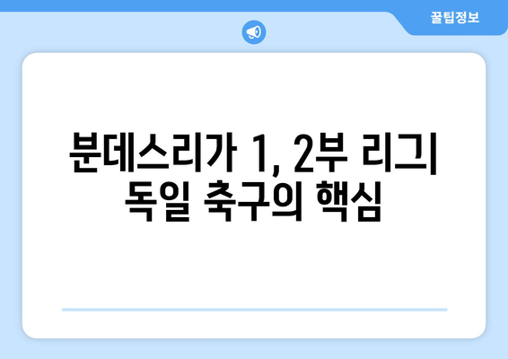 독일 축구 리그 탐구| 분데스리가 1, 2부 리그와 3부 리그 구성 | 독일, 축구, 분데스리가, 3부 리그