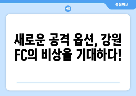 강원 FC, 독일 분데스리가 출신 공격수 임대 영입! 새로운 공격의 날개를 펼치다 | K리그, 이적 시장, 축구 뉴스