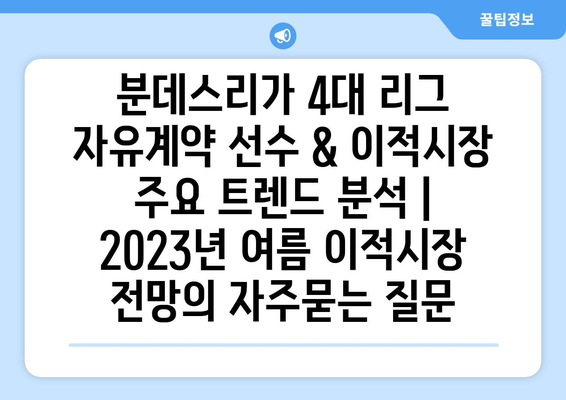 분데스리가 4대 리그 자유계약 선수 & 이적시장 주요 트렌드 분석 | 2023년 여름 이적시장 전망