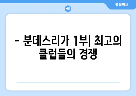 분데스리가 리그 구성 완벽 가이드| 1부, 2부, 3부 리그 상세 설명 | 독일 축구, 리그 시스템, 승격, 강등