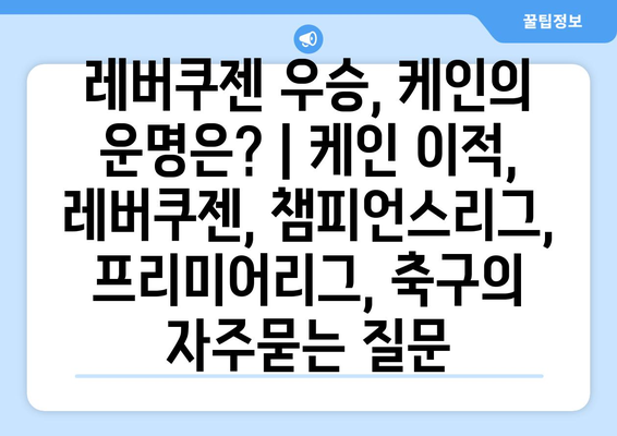 레버쿠젠 우승, 케인의 운명은? | 케인 이적, 레버쿠젠, 챔피언스리그, 프리미어리그, 축구