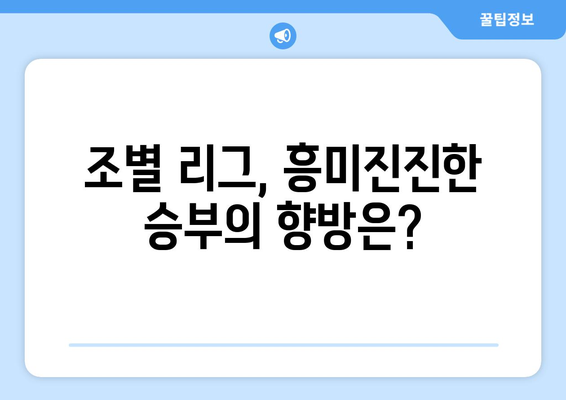 유로 2024 경기 일정 & 분석| 조별 예상 & 우승 후보 전망 | 유럽축구, 축구대회, 경기일정, 분석, 예측