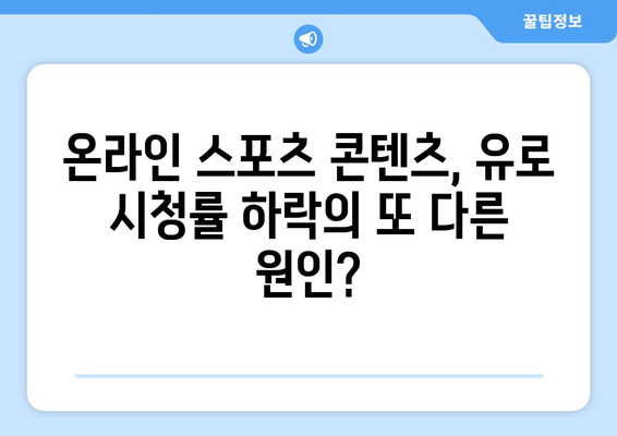 유럽 축구선수권 대회 인기 하락의 이유| 5가지 주요 원인 분석 | 축구, 유로, 시청률, 인기 하락, 분석