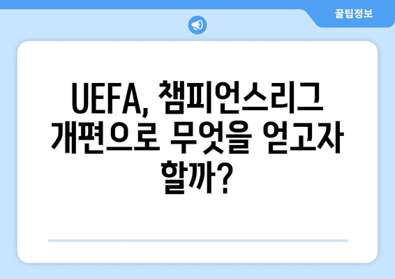 2024-25 챔피언스리그 개편| 주요 변화 및 핵심 포인트 | 축구, UEFA, 경기 방식, 새로운 규정