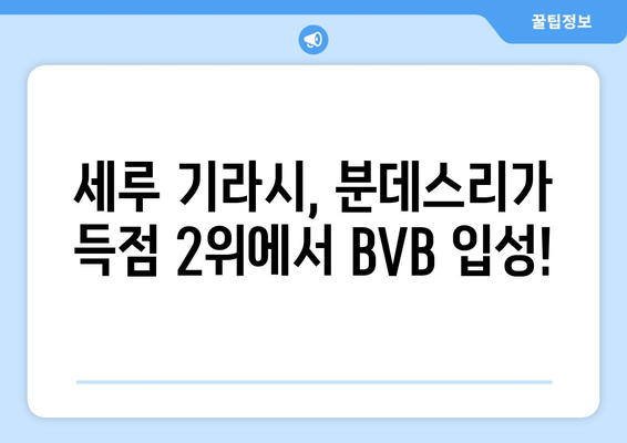 세루 기라시, 분데스리가 득점 2위에서 BVB로 향하다! | 분데스리가, 이적, 도르트문트