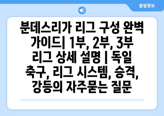 분데스리가 리그 구성 완벽 가이드| 1부, 2부, 3부 리그 상세 설명 | 독일 축구, 리그 시스템, 승격, 강등